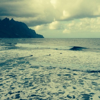 Canarie